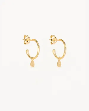 18k Gold Vermeil Grace Hoops