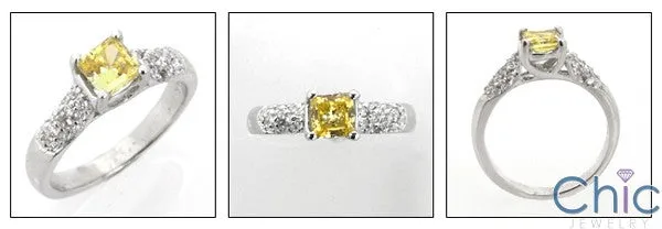 Anniversary .50 Princess Center ans Pave Set Round Cubic Zirconia Cz Ring