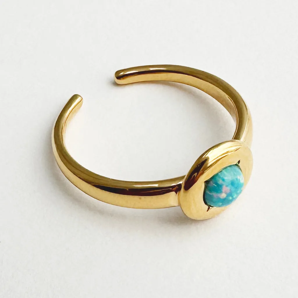 Neptune Coin Ring