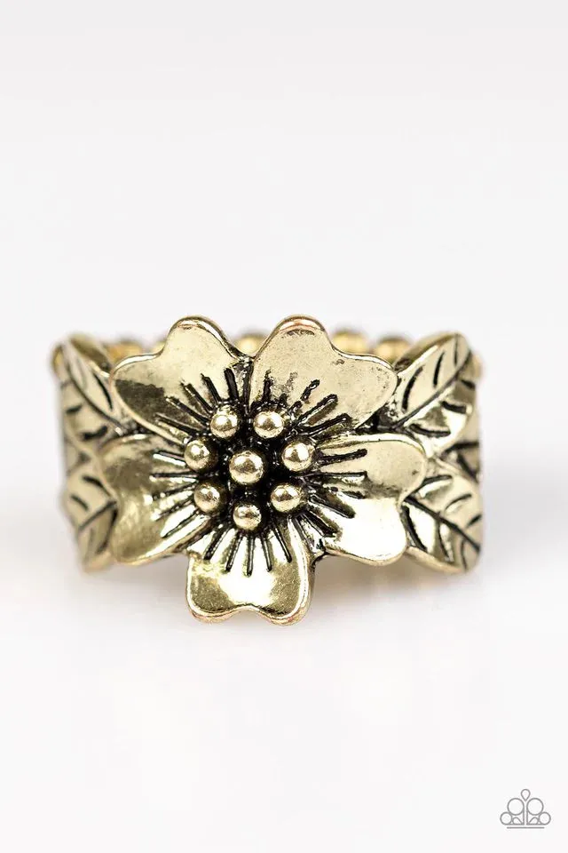 Paparazzi Ring ~ Rio Retreat - Brass