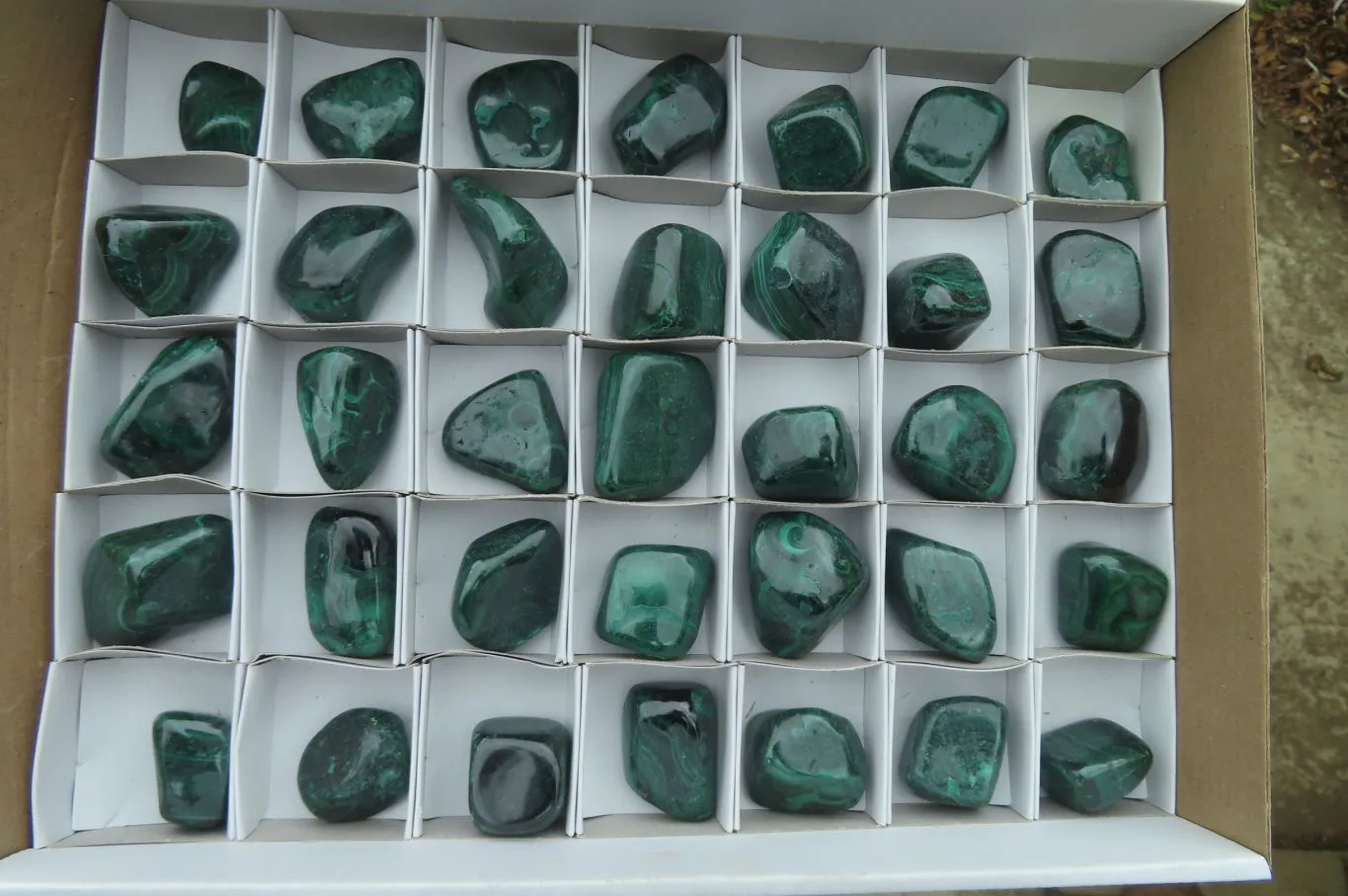 Polished Flower Banded Malachite Free Forms x 35 From Congo