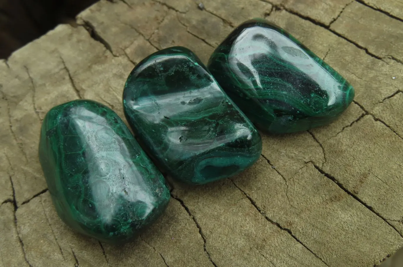 Polished Flower Banded Malachite Free Forms x 35 From Congo