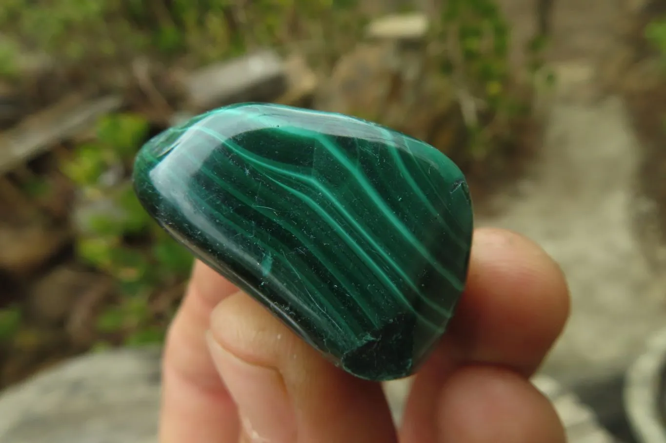 Polished Flower Banded Malachite Free Forms x 35 From Congo