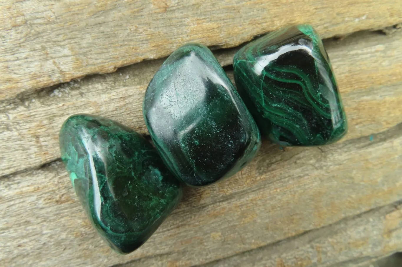 Polished Flower Banded Malachite Free Forms x 35 From Congo