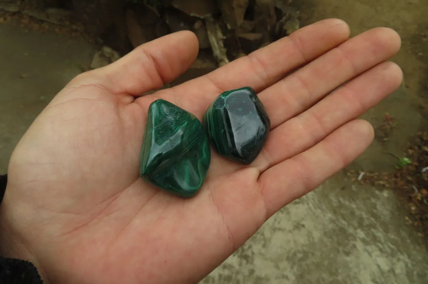 Polished Flower Banded Malachite Free Forms x 35 From Congo