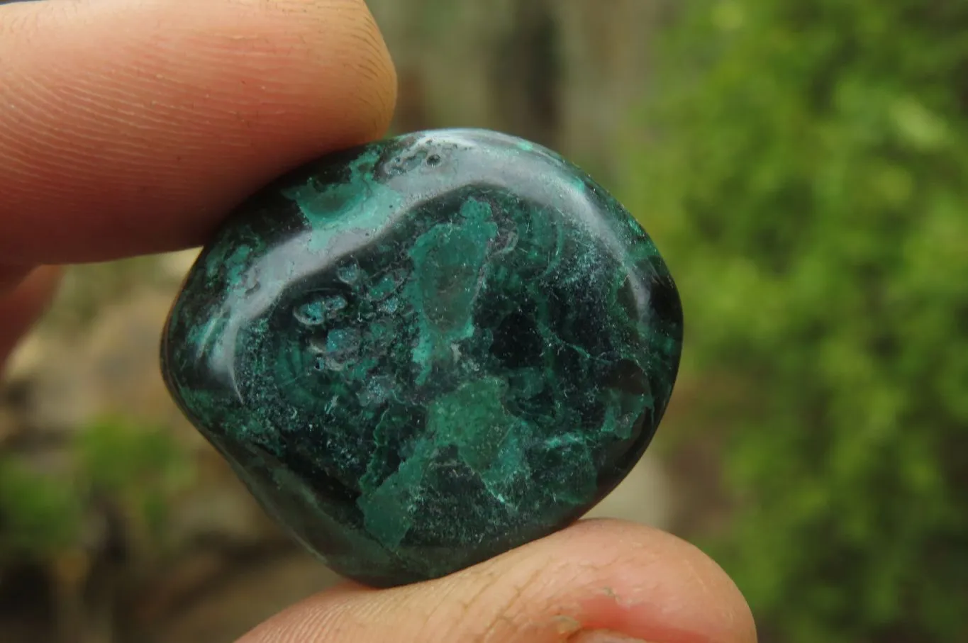 Polished Flower Banded Malachite Free Forms x 35 From Congo