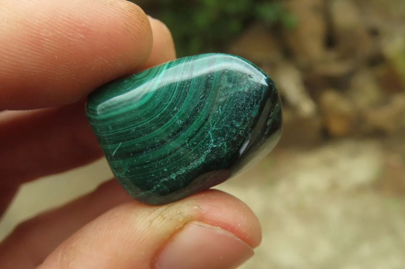 Polished Flower Banded Malachite Free Forms x 35 From Congo