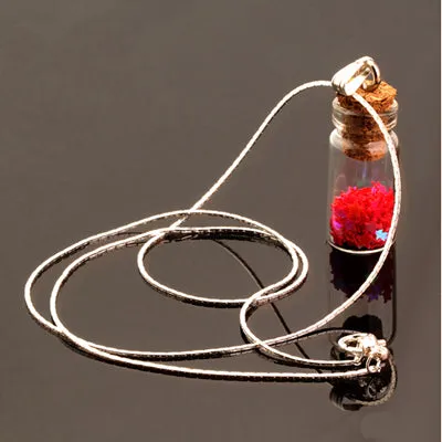 Women Chain Pendant Necklace Star Glass Wishing Bottle Long Necklaces Charms Gift Women Jewelry Choker Collares DIY N2121